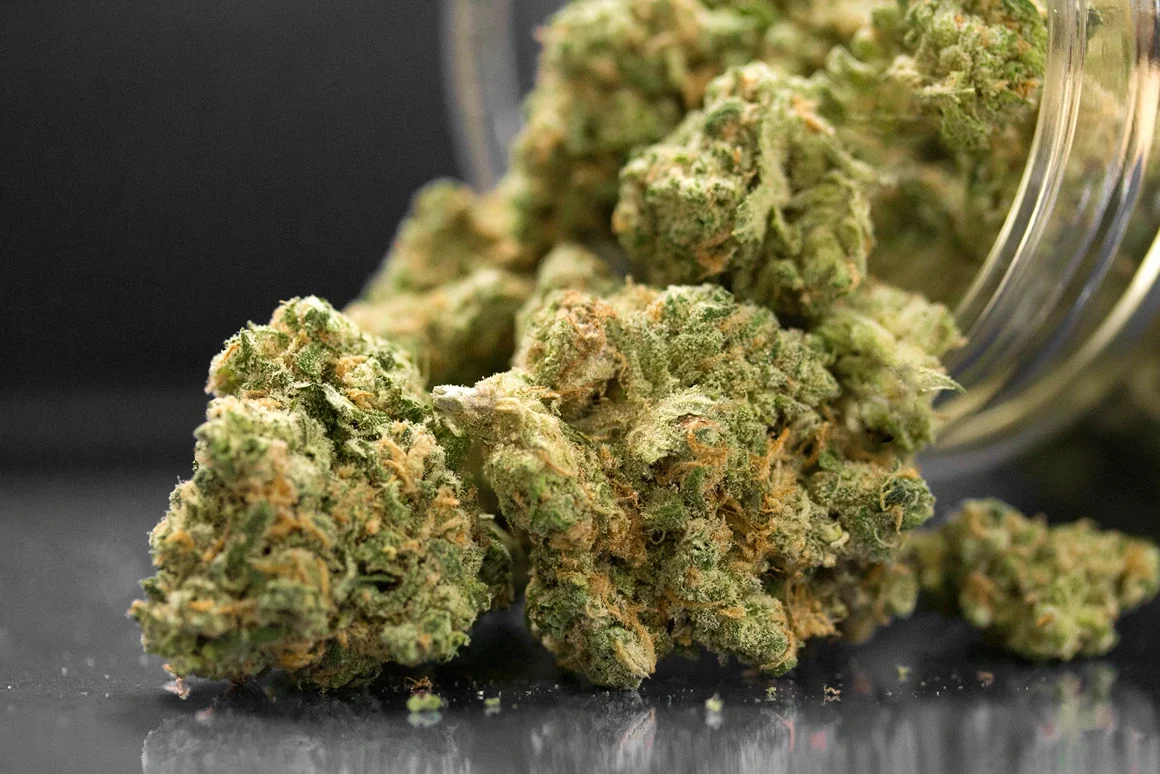 <span>Fresh cannabis flower from</span> trusted Maine growers